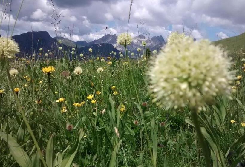 酒店 Gasthof Zum Löwen