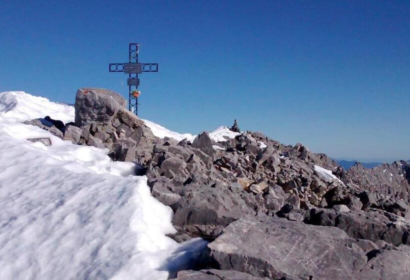 酒店 Gasthof Zum Löwen