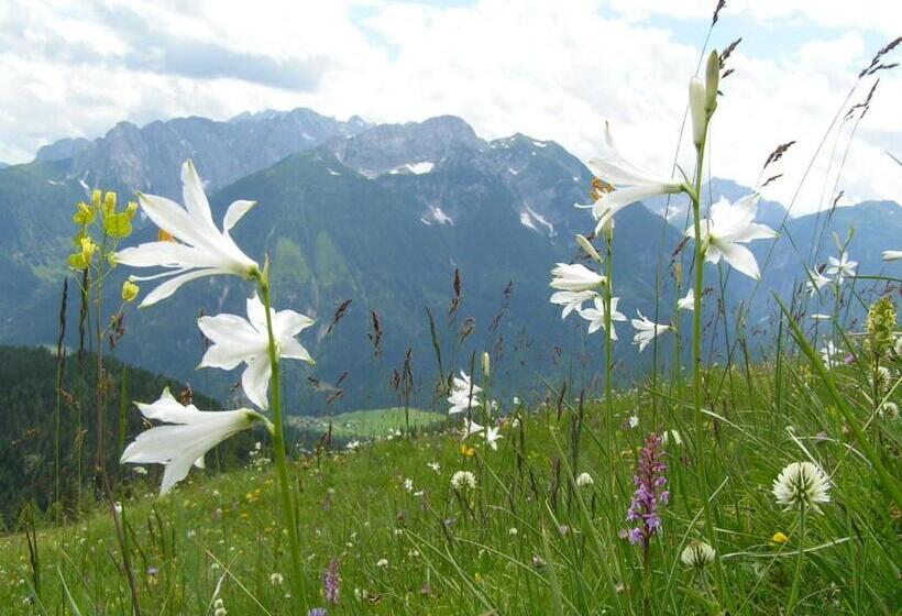 酒店 Gasthof Zum Löwen