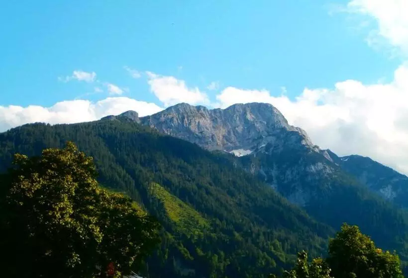 ホテル Gasthof Zum Löwen