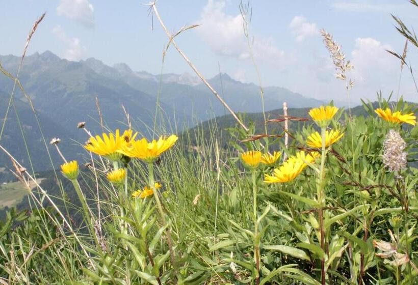 酒店 Gasthof Zum Löwen