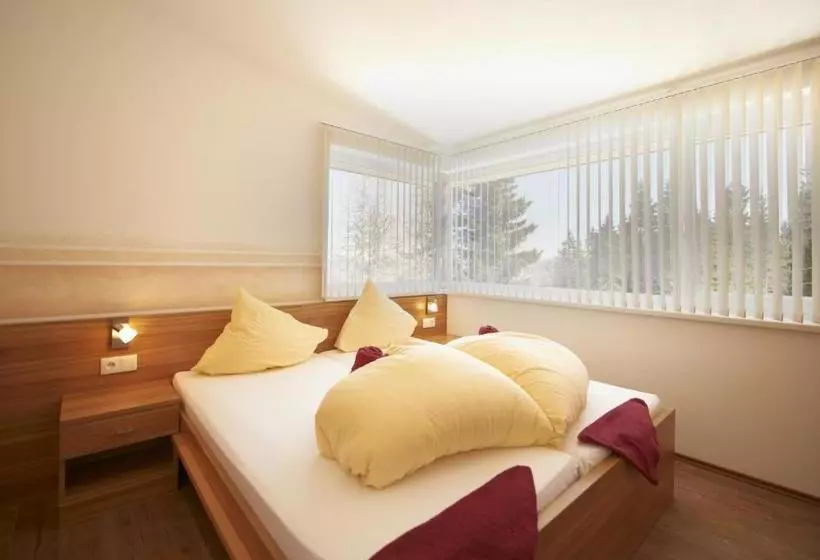 هتل Griessenkarhaus Flachau