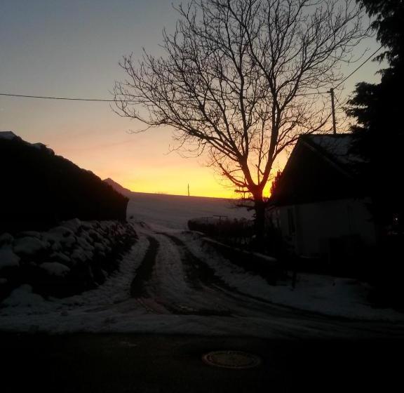 ホテル Gästehaus Verena