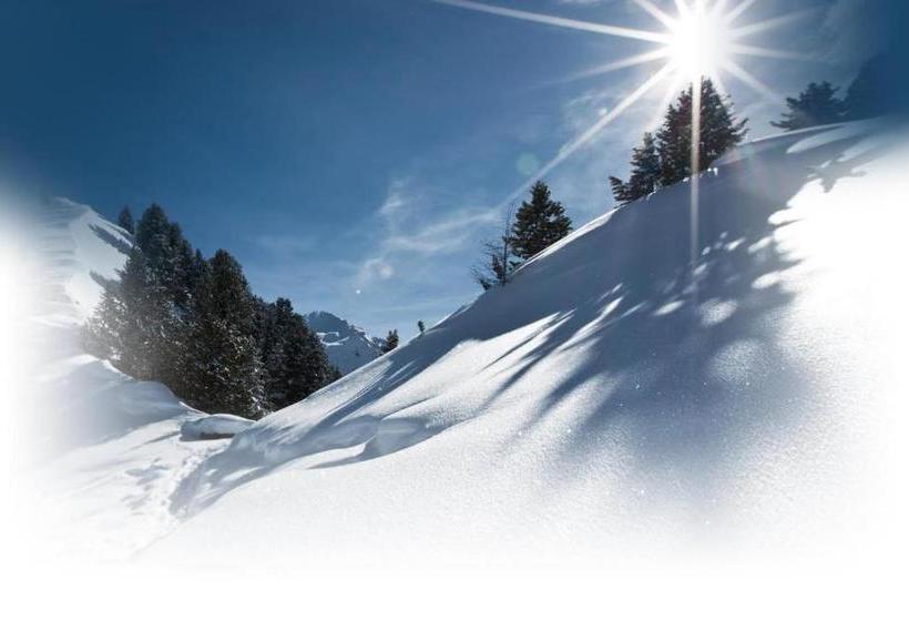 فندق Haus Kirschner