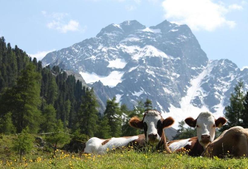 فندق Haus Kirschner