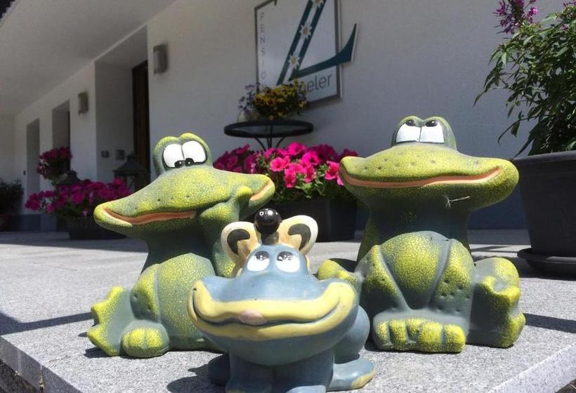 ホテル Pension Zoeggeler