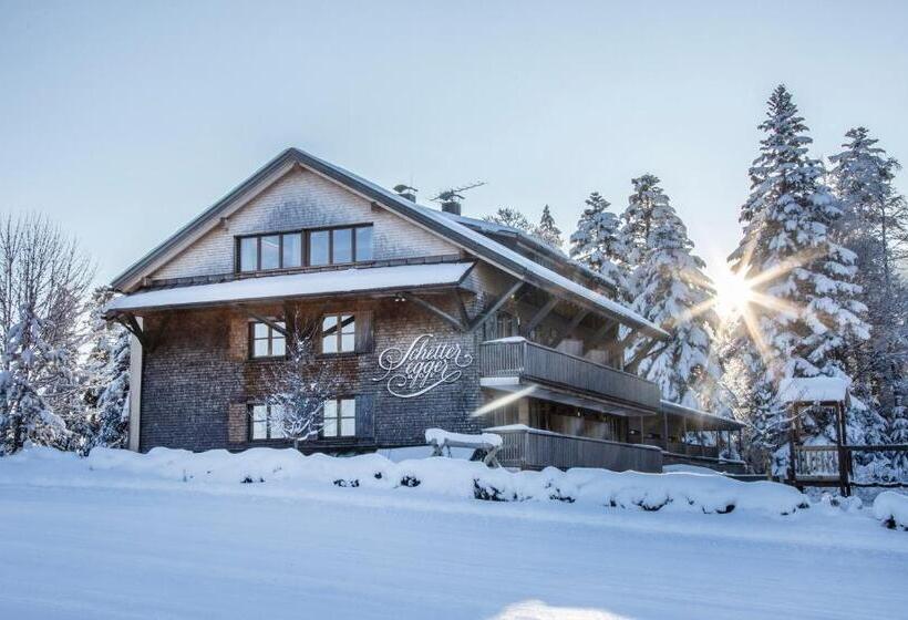 فندق Schettereggerhof