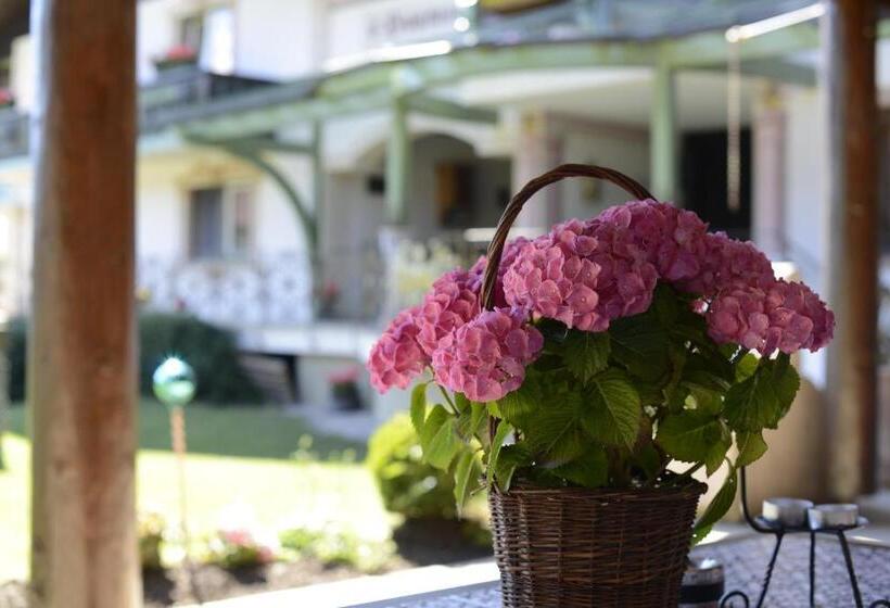 Отель S'hoamatl