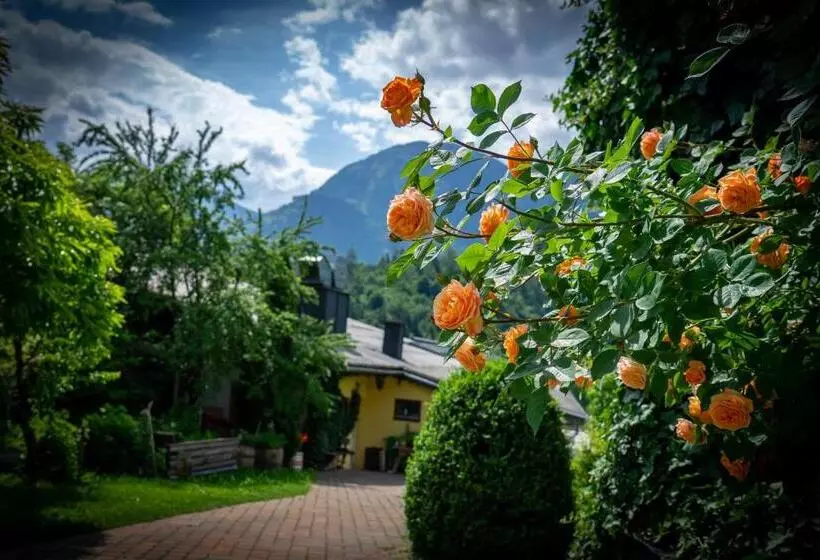 Hotelli Sportpension Goldegg