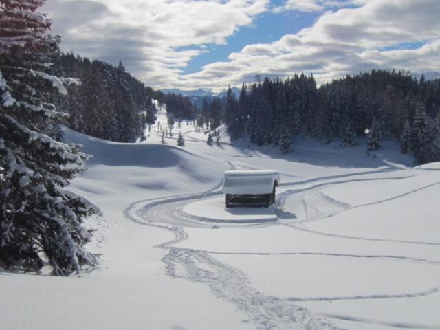 فندق Wirtshaus Zum Wiesejaggl