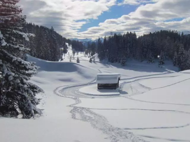 ホテル Wirtshaus Zum Wiesejaggl