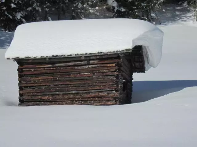 ホテル Wirtshaus Zum Wiesejaggl