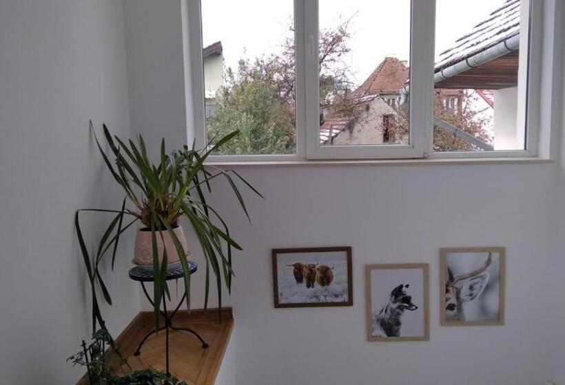 تختخواب و صبحانه Friends House Central Station Self Check In