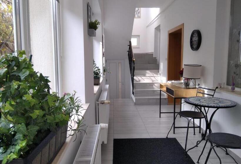 تختخواب و صبحانه Friends House Central Station Self Check In