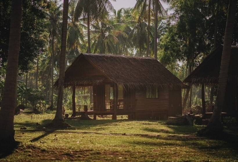 Coco Canopy Boutique Resort