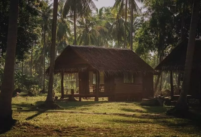 Coco Canopy Boutique Resort