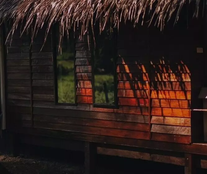 Coco Canopy Boutique Resort