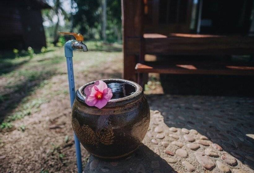 Coco Canopy Boutique Resort