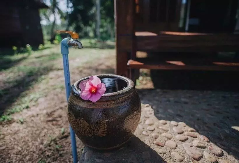 Coco Canopy Boutique Resort