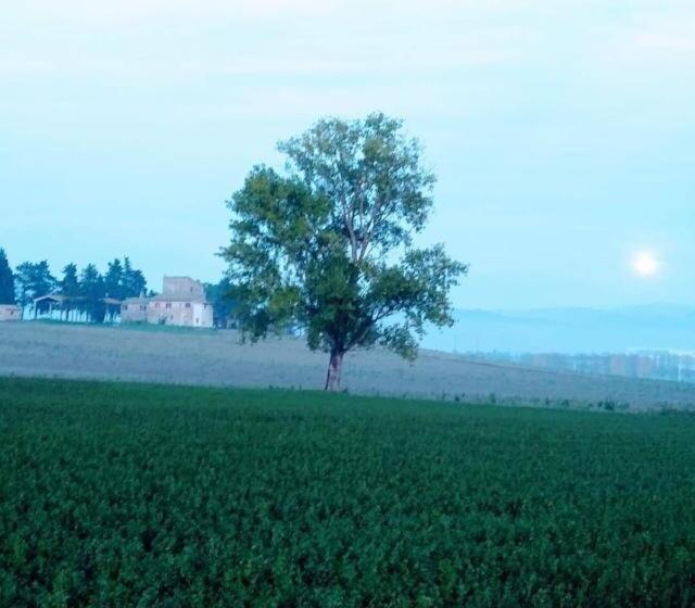 هتل Il Fortino Di San Francesco