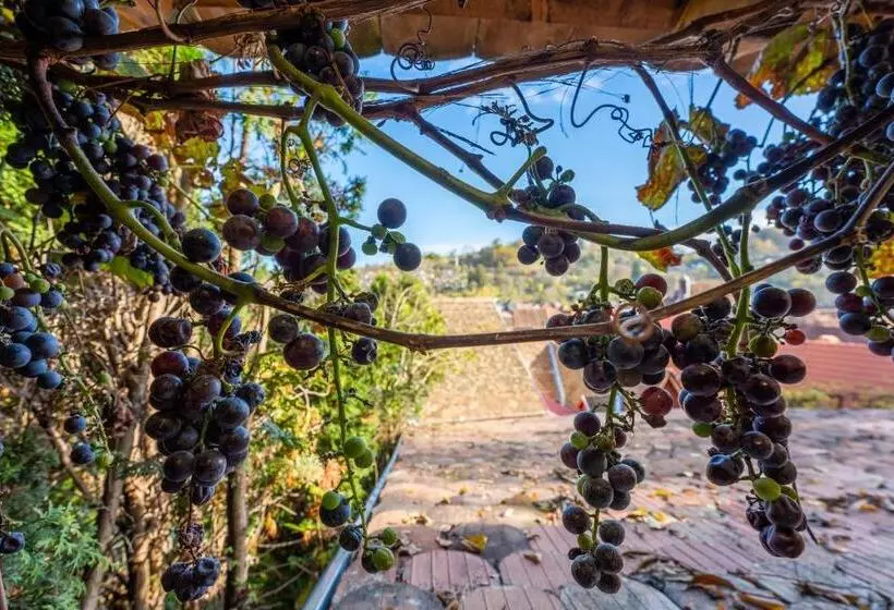 Majatalo Casa Maya Transilvania