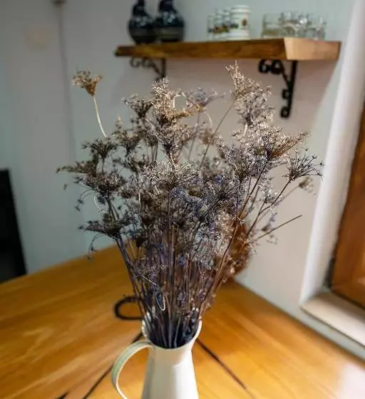 Majatalo Casa Maya Transilvania