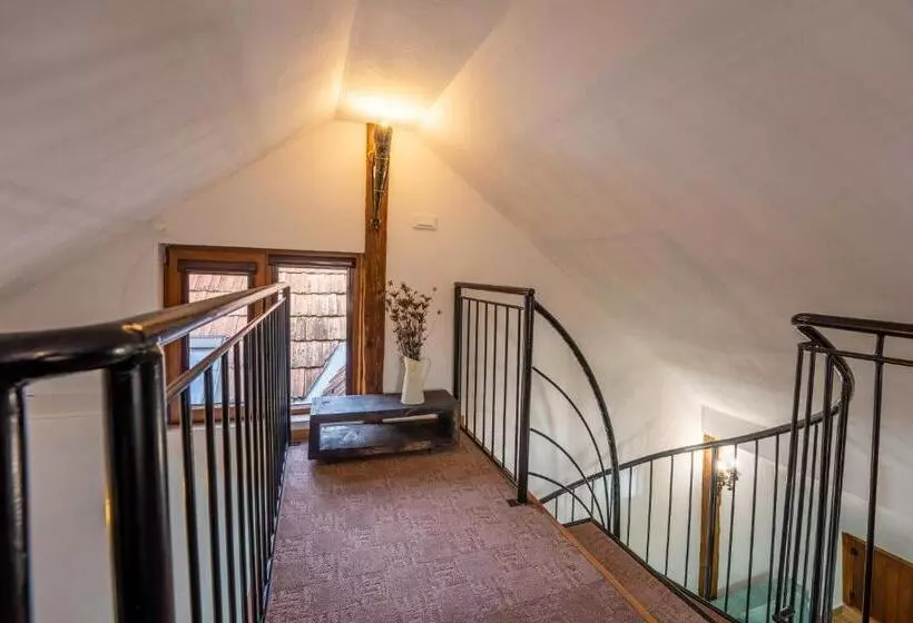 Majatalo Casa Maya Transilvania