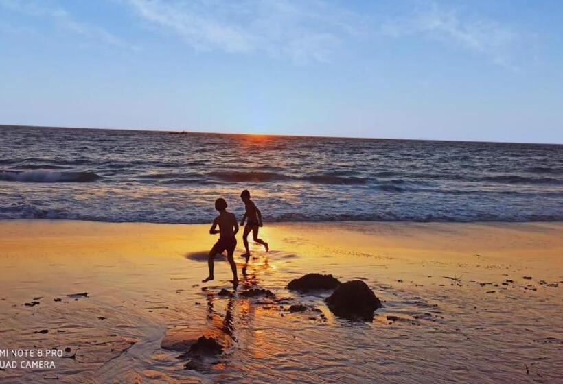 פנסיון Chelsea Inn