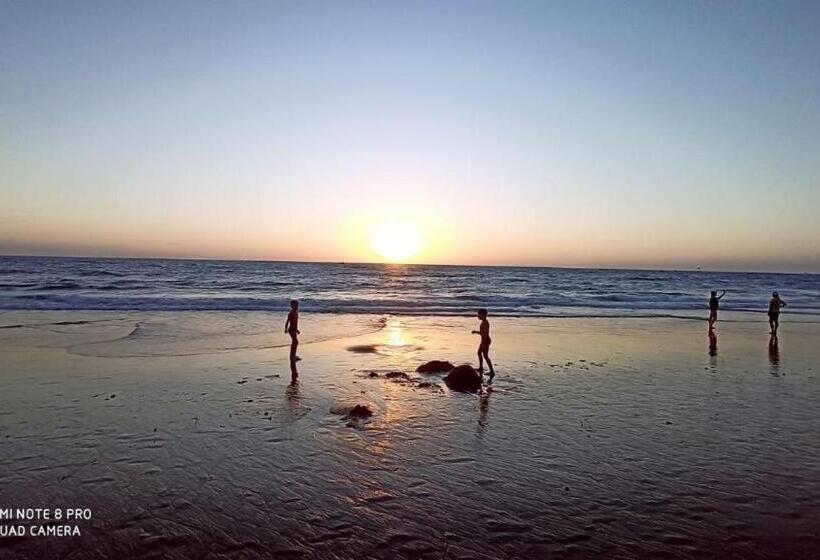 פנסיון Chelsea Inn