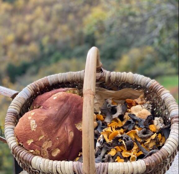 بنسيون Domaine Le Verdier