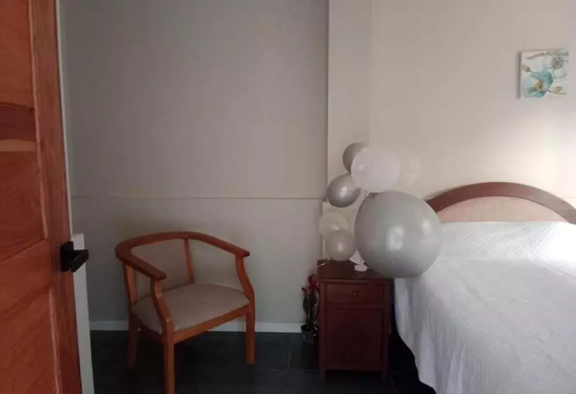 ペンション Hostal Ostello Amadeus
