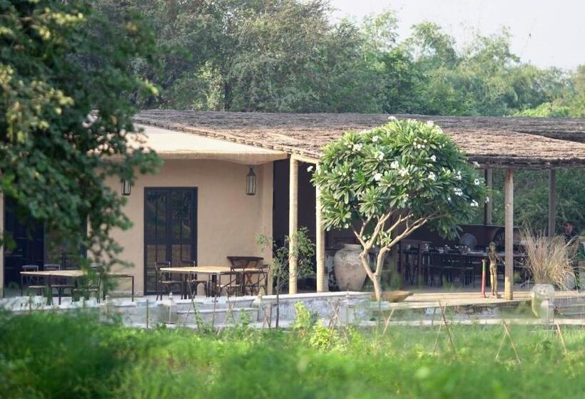 Курорт Anopura Jaipur