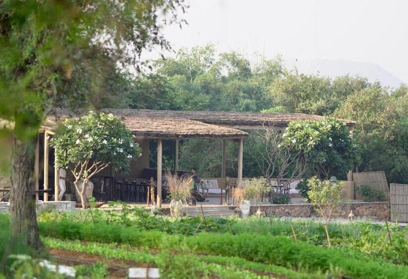 Курорт Anopura Jaipur