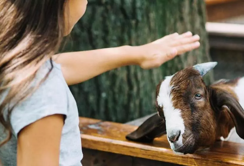 استراحتگاه Lumiere Family Village Dong Tac