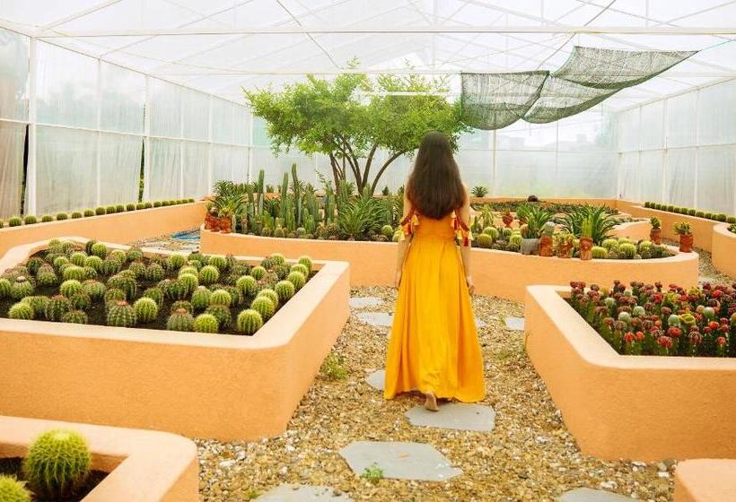 استراحتگاه Lumiere Family Village Dong Tac