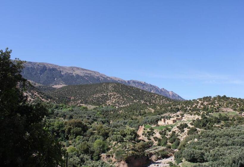 فندق صغير Gite Skoura