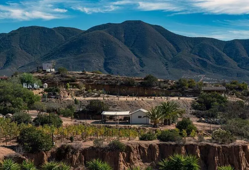 Hotelli Finca De Lulu Y Jose Ruta Del Vino