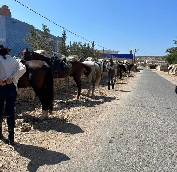 Hôtel Surfcamplagrotte