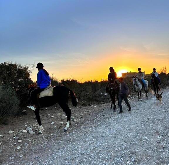 Hôtel Surfcamplagrotte