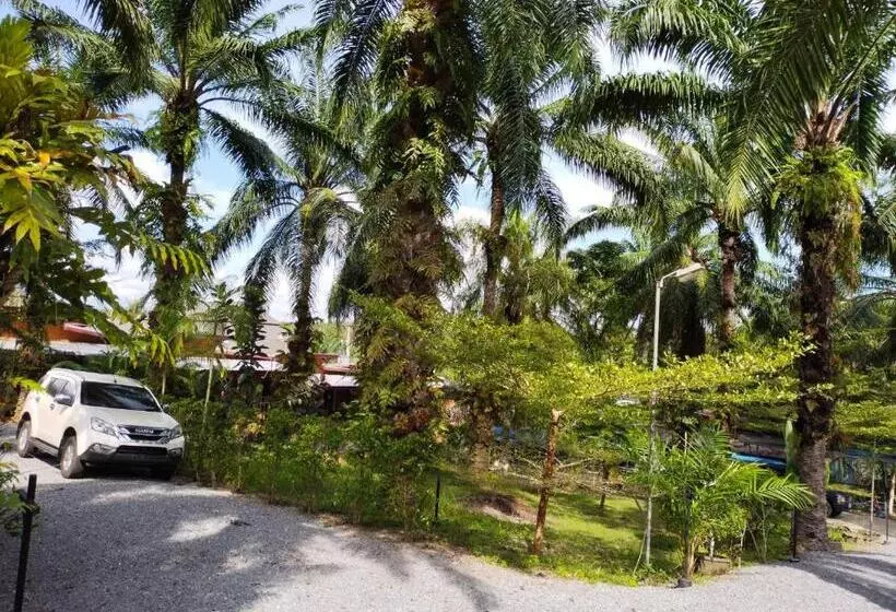 Palm Tian Homes A16