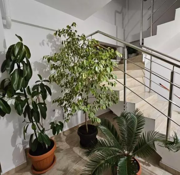 پانسیون Didi Apartament