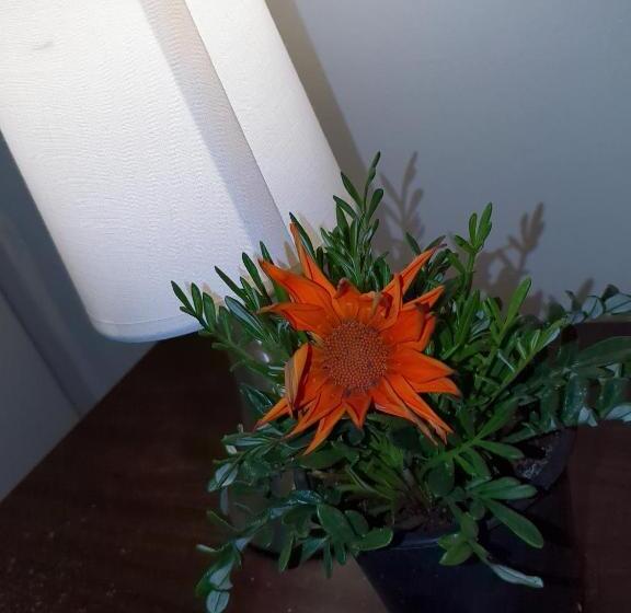 膳宿费 Habitación Amplia En Santiago C3ntro