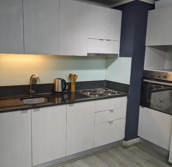 膳宿费 Habitación Amplia En Santiago C3ntro