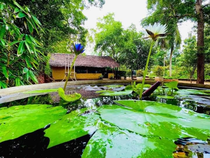 Pension Harambathenna Resort