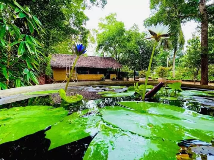 ペンション Harambathenna Resort