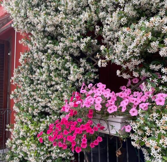 بنسيون Residence Wendy