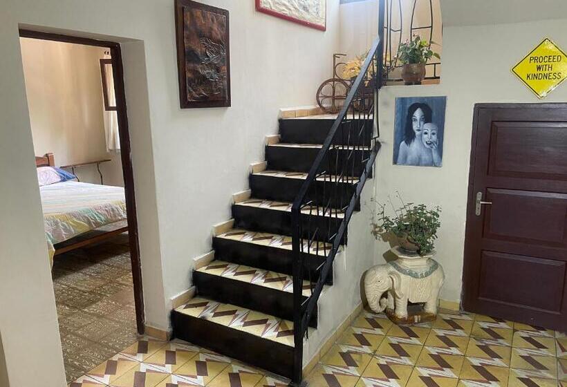 هاستل El Pueblito