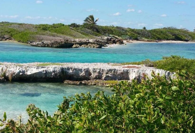 هاستل Oceanside Hotel & Pool