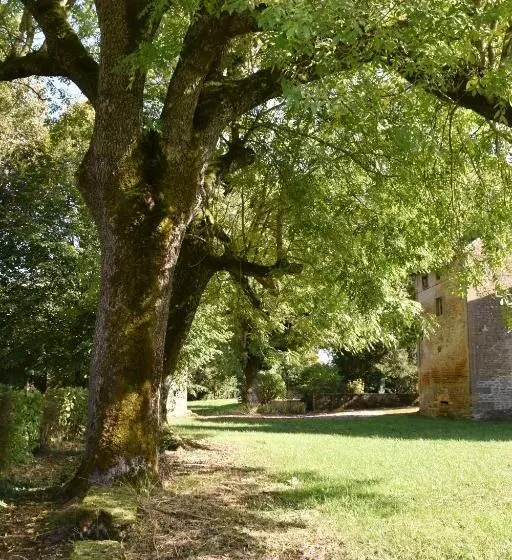 Aamiaismajoitus (B&B) La Pépite