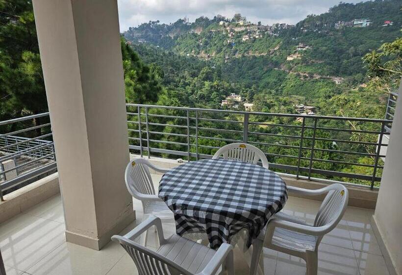 Hotelli Dagshai Mist